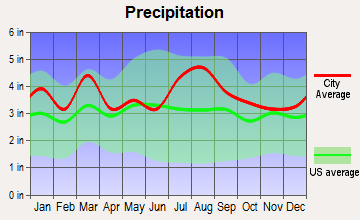 Hallwood, Virginia average precipitation