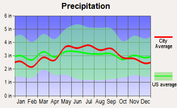 Harrisonburg, Virginia average precipitation