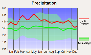 Independence, Virginia average precipitation
