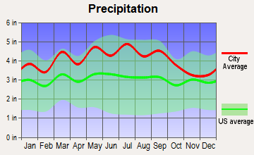 Oak Level, Virginia average precipitation