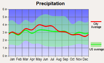 Pearisburg, Virginia average precipitation