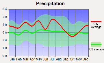 Saltville, Virginia average precipitation