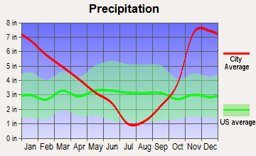 Washougal, Washington average precipitation