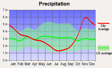 Ferndale, Washington average precipitation