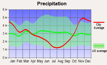 Langley, Washington average precipitation