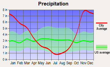 Nisqually Indian Community, Washington average precipitation