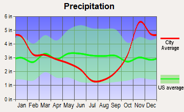 Bow, Washington average precipitation