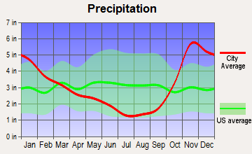 Point Roberts, Washington average precipitation