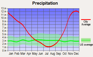 Satsop, Washington average precipitation