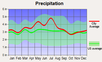 Piney View, West Virginia average precipitation