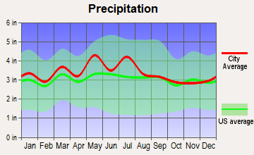 White Sulphur Springs, West Virginia average precipitation
