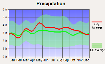 Shepherdstown district, West Virginia average precipitation