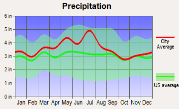 Bradley, West Virginia average precipitation