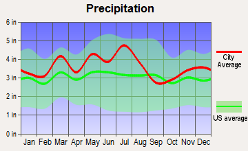 Ceredo, West Virginia average precipitation