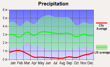 Bishop, California average precipitation