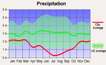 Big Valley, California average precipitation