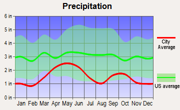 Dayton, Wyoming average precipitation