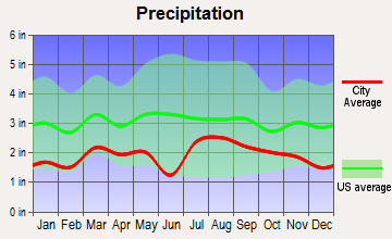 Telluride, Colorado average precipitation