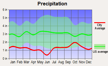 Dove Creek, Colorado average precipitation
