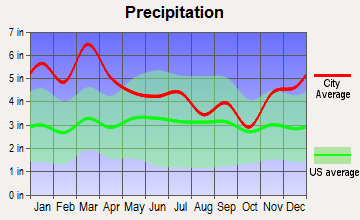 Ohatchee, Alabama average precipitation