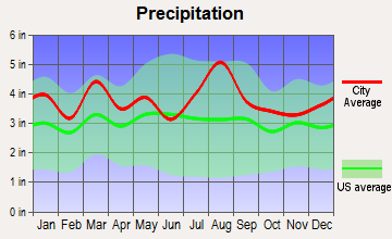 Long Neck, Delaware average precipitation