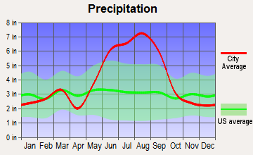 Kissimmee, Florida average precipitation