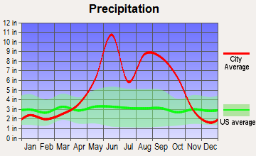 Lakes by the Bay, Florida average precipitation