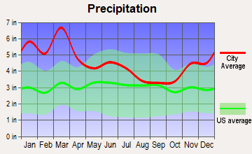 Ranburne, Alabama average precipitation