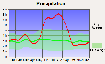 North Brooksville, Florida average precipitation