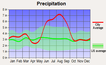 Palatka, Florida average precipitation