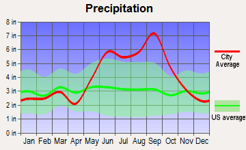 Palm Shores, Florida average precipitation