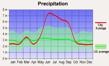 Pine Castle, Florida average precipitation