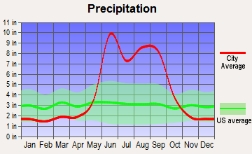 Plantation Island, Florida average precipitation