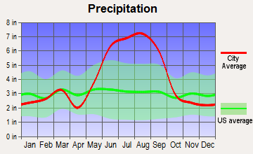 Poinciana, Florida average precipitation