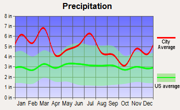 Samson, Alabama average precipitation