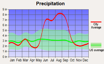 South Venice, Florida average precipitation