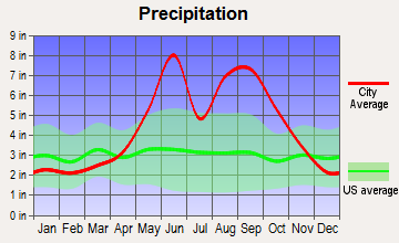 Surfside, Florida average precipitation