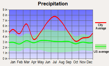 Tallahassee, Florida average precipitation