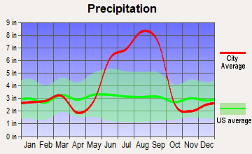Tierra Verde, Florida average precipitation