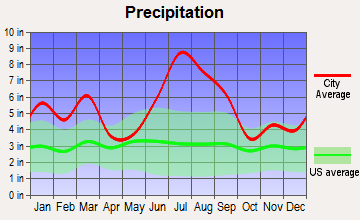 Tyndall AFB, Florida average precipitation