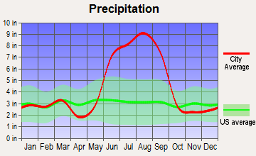 West Bradenton, Florida average precipitation