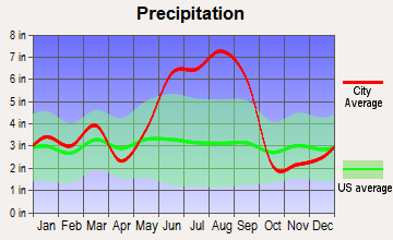 Bushnell, Florida average precipitation