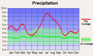 Callaway, Florida average precipitation