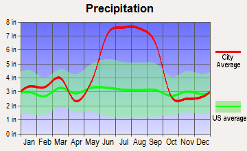 Dade City North, Florida average precipitation