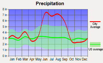 Dunnellon, Florida average precipitation