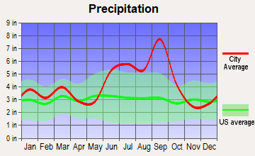 Fernandina Beach, Florida average precipitation