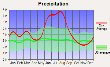 Fort White, Florida average precipitation