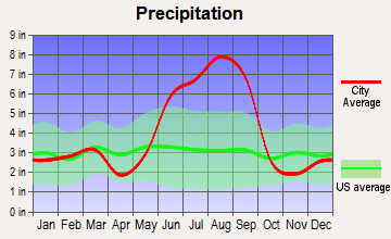 Greater Northdale, Florida average precipitation