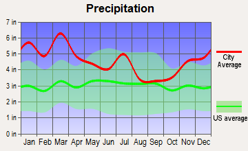Tuscaloosa, Alabama average precipitation