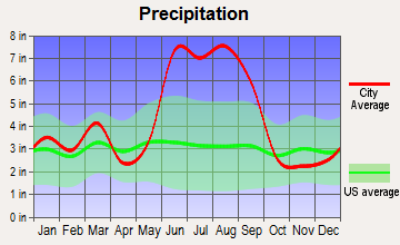 Inverness, Florida average precipitation